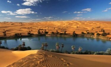 Full-Day Wadi El Hitan (Whale Valley) & Fayoum Oasis Adventure